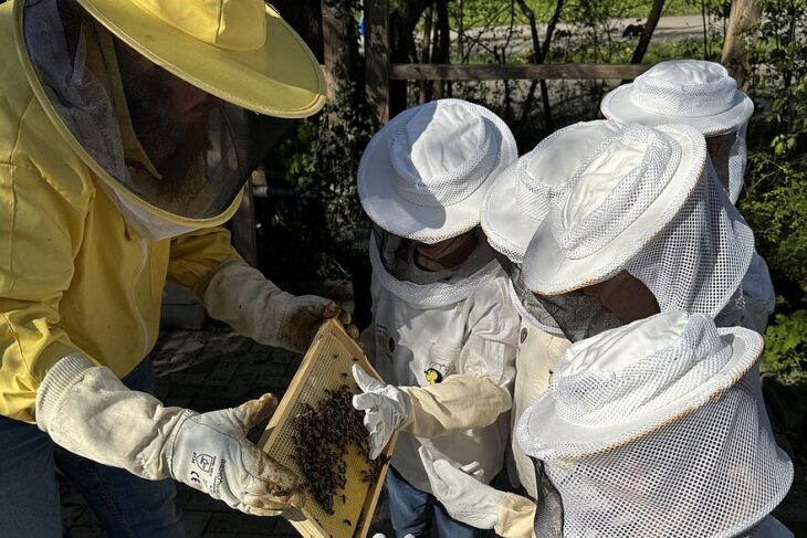 Auf dem Foto sieht man 3 Personen im Imkeranzug und einen Bienenkasten.