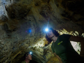 „Höhlen entdecken rund um Viehhofen“ heißt eine der angebotenen Rangertouren.