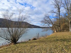 Die Wasserwacht und weitere Einsatzkräfte waren am Happurger Baggersee im Einsatz (Symbolbild).