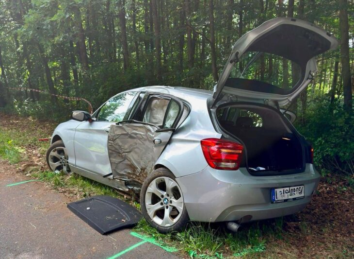 Alle fünf Insassen wurden bei dem Unfall verletzt.