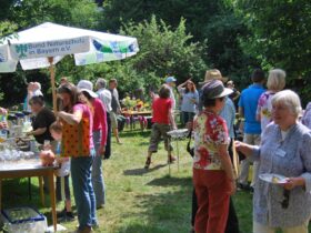 Das Sommerfest hat neben Speisen, Getränken und Musik noch einiges mehr zu bieten.
