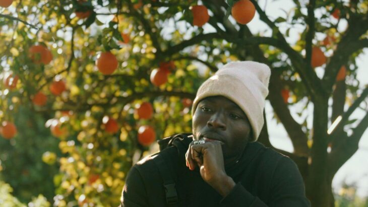 Der Film „The Pickers“ zeigt berührende Schicksale der Erntehelfer.