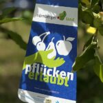 Gegen Lebensmittelverschwendung: Die Ernteaktion „Gelbes Band“.