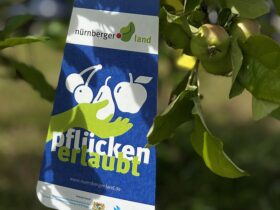 Gegen Lebensmittelverschwendung: Die Ernteaktion „Gelbes Band“.