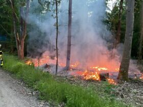 Die Feuchter Wehr war rasch vor Ort und konnte das Feuer löschen.