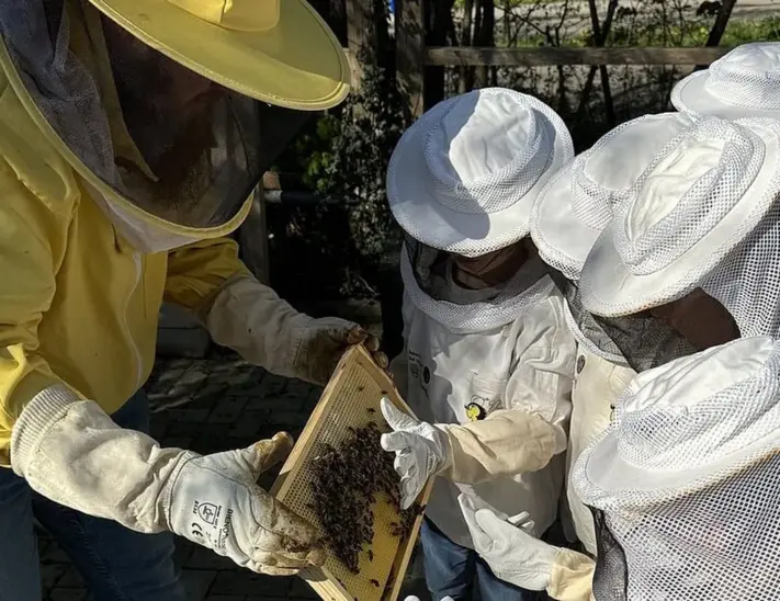 Praxisnahes Lernen: Die Kinder erleben ein Bienenvolk hautnah.