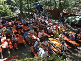 Idyllischer Veranstaltungsort: Das Felsenkellerfest in Nürnberg Fischbach findet unter großen Bäumen statt.