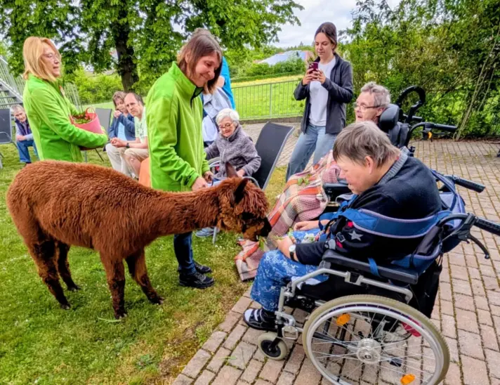 Fröhliche Momente schenkten zwei Alpakas den Bewohnerinnen und Bewohnern der Lebenshilfe-Wohnstätte am Bitterbach in Lauf.