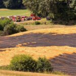 Auf einer rund 15.000 Quadratmeter großen Fläche war ein Feld in Brand geraten.