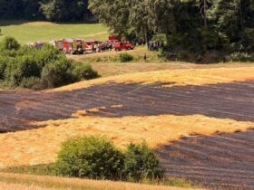 Auf einer rund 15.000 Quadratmeter großen Fläche war ein Feld in Brand geraten.