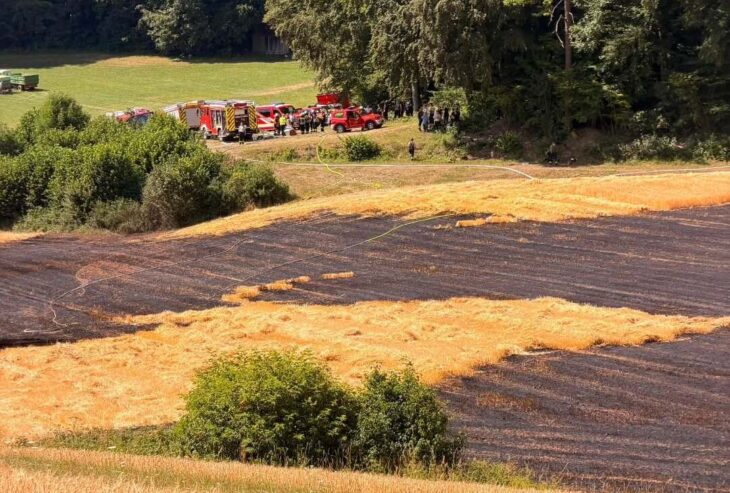 Auf einer rund 15.000 Quadratmeter großen Fläche war ein Feld in Brand geraten.
