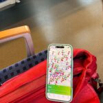 Über 87 Prozent aller Fahrten werden bereits mit digitalen Tickets absolviert.