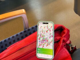 Über 87 Prozent aller Fahrten werden bereits mit digitalen Tickets absolviert.