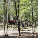 Der Harvester ist momentan im Dauereinsatz, um die Schäden durch das Unwetter zu beseitigen. Wer im Wald unterwegs ist, sollte daher unbedingt Sperrungen beachten, so die Staatsforsten.