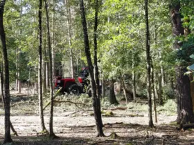 Der Harvester ist momentan im Dauereinsatz, um die Schäden durch das Unwetter zu beseitigen. Wer im Wald unterwegs ist, sollte daher unbedingt Sperrungen beachten, so die Staatsforsten.