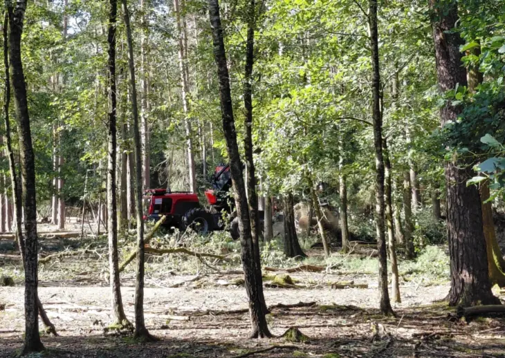 Der Harvester ist momentan im Dauereinsatz, um die Schäden durch das Unwetter zu beseitigen. Wer im Wald unterwegs ist, sollte daher unbedingt Sperrungen beachten, so die Staatsforsten.