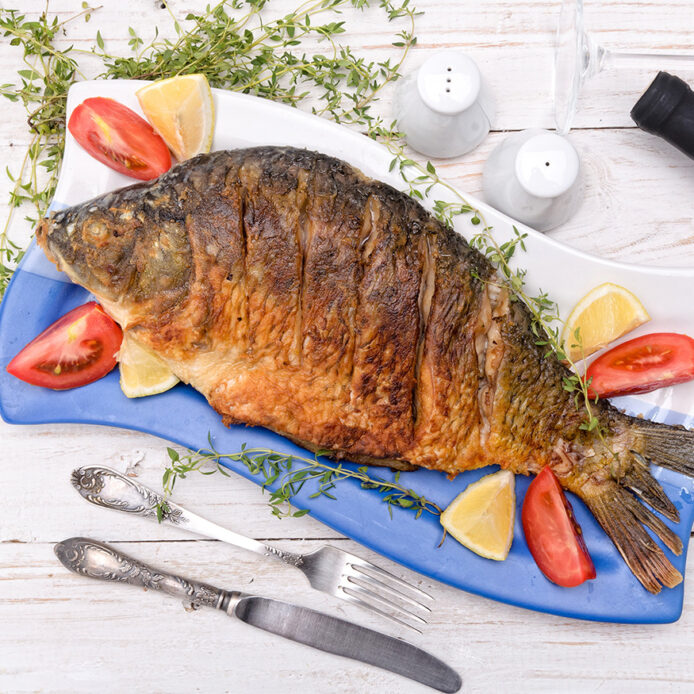 fish
