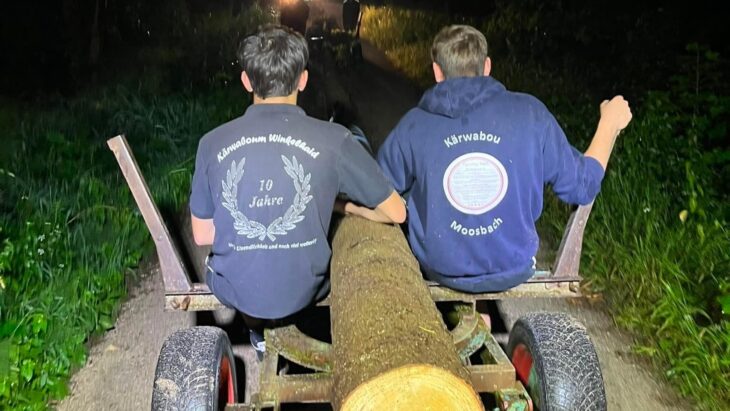 Für den Baumklau in Feucht arbeiteten die Winkelhaider und Moosbacher Kärwaboum und -madla zusammen.