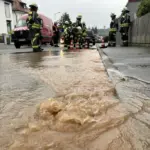 Die Feuerwehr sperrte die betroffene Holzstraße ab.