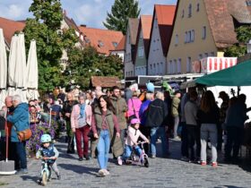 Das Brunnenfest in Lauf ist jedes Jahr ein Besuchermagnet. Das Foto stammt aus dem vergangenen Jahr.