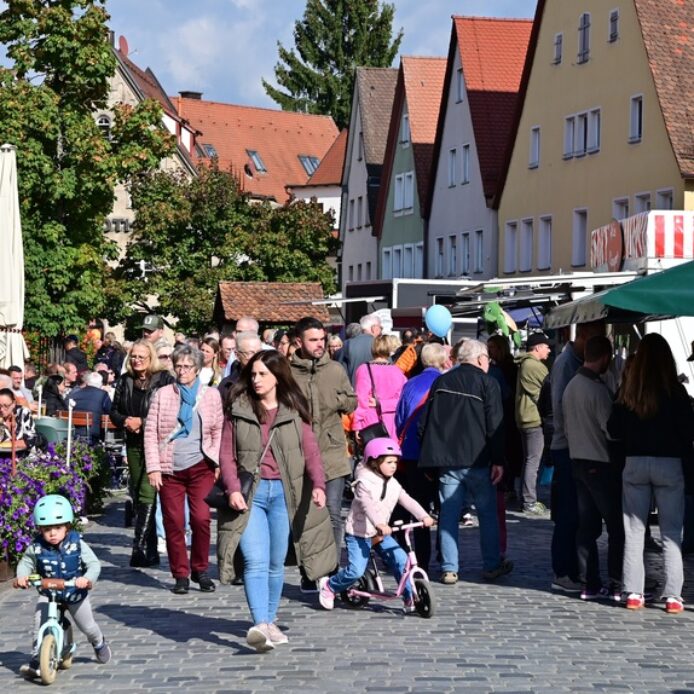 Das Brunnenfest in Lauf ist jedes Jahr ein Besuchermagnet. Das Foto stammt aus dem vergangenen Jahr.