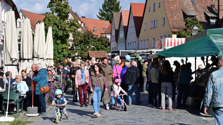 Das Brunnenfest in Lauf ist jedes Jahr ein Besuchermagnet. Das Foto stammt aus dem vergangenen Jahr.