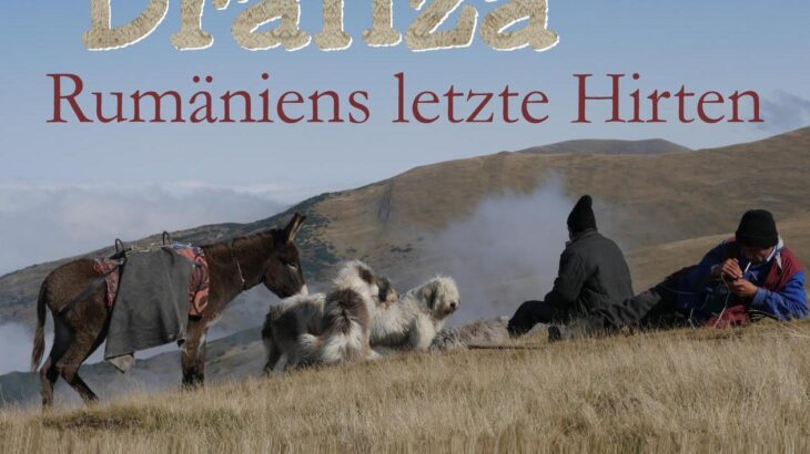 Das Plakat verschafft einen ersten Eindruck, worum es in dem Film geht.