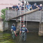 Das Technische Hilfswerk griff den Altstadtfreunden unter die Arme. Gemeinsam wuchteten die Helfer zwei schwere Baumstämme aus der Pegnitz. Sie hatten zuvor den Rechen der Schleifmühle an der Wasserbrücke blockiert. ⋌Foto: Altstadtfreunde Lauf