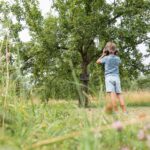 Der Wiese lauschen: Zwölf Hör-Stationen machen die inklusive Streuobstwiese auf eine ganz neue Art erlebbar.