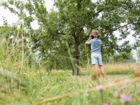 Der Wiese lauschen: Zwölf Hör-Stationen machen die inklusive Streuobstwiese auf eine ganz neue Art erlebbar.