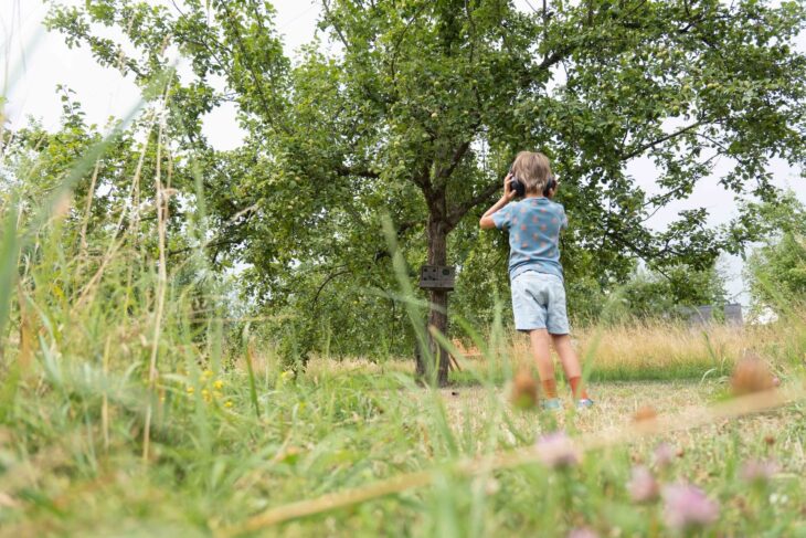 Der Wiese lauschen: Zwölf Hör-Stationen machen die inklusive Streuobstwiese auf eine ganz neue Art erlebbar.