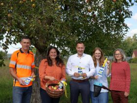 Kreisbauhofleiter Bernd Hirschmann, CSU-Kreisrätin Nina Bezold, Landrat Armin Kroder, Regionalmanagerin Sophie Linnert und Nina Beilicke, Kreisfachberaterin für Gartenbau und Landschaftspflege (von links).