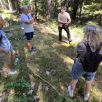 Die Feuchter Grünen haben sich über die Holzernte im Reichswald informiert.
