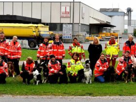 Rettungshundeteams aus verschiedenen Organisationen übten gemeinsam verschiedene Situationen - unter anderem auf dem Gelände der Firma Bögl.