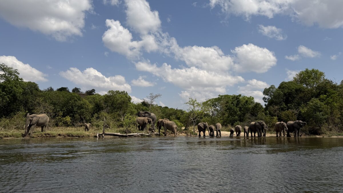Uganda Murchison Falls Nationalpark Bild 8 2026