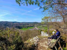 Blick vom Düsselbacher Wachfelsen.