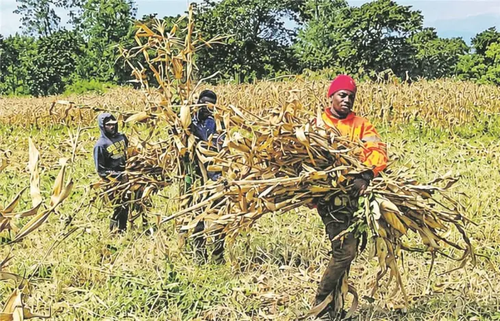 Manuelle Arbeit auf dem Feld: Die Diakone des Faraja Diaconic Center in Tansania bekommen die Folgen des Irankriegs in Form von hohen Preisen stark zu spüren.